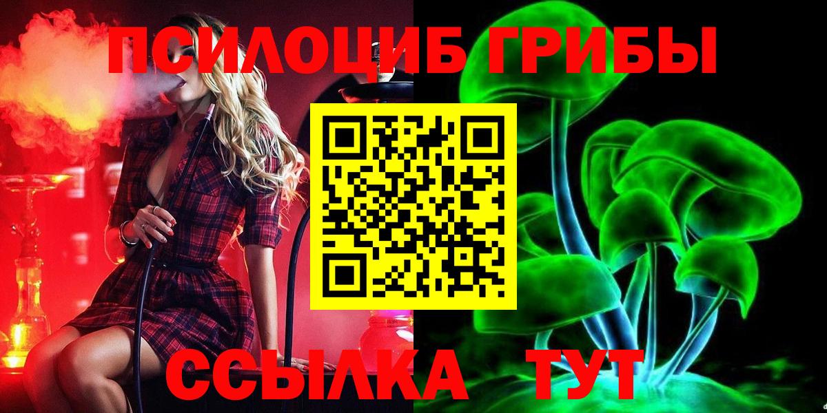 Заречный  Псилоцибиновые грибы ЛСД  где купить наркоту  Вход с VPN 